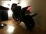 Suzuki SV650S - Der står den jo meget godt :)