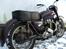 Ariel NH