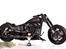 Harley Davidson Satori Bike - Vinder alt der kan vindes....