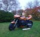 Kawasaki GPZ 900 street fighter