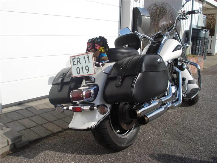 Suzuki VL1500 billede 5