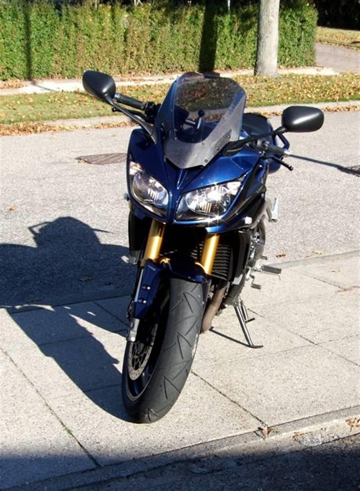 Yamaha fz1s - madical kåbeglas billede 19