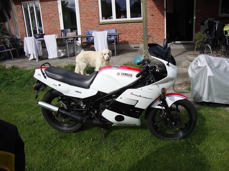 Yamaha RD 500 billede 4