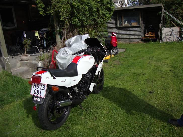 Yamaha RD 500 billede 5