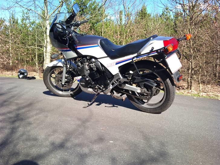 Yamaha XJ 600 (aka Xenia) billede 7