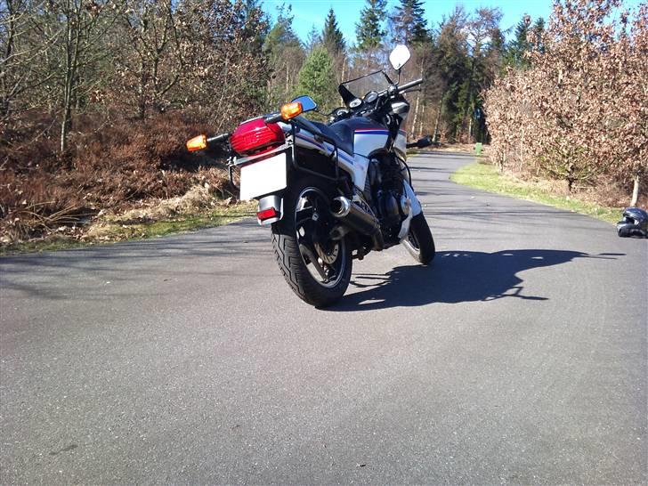 Yamaha XJ 600 (aka Xenia) billede 8