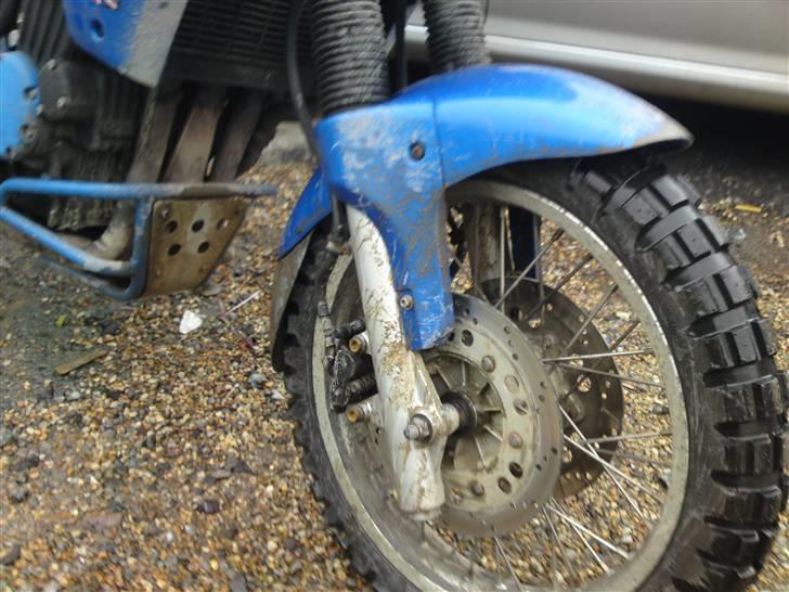 Triumph Tiger 900 *DØD* - Så kom der lidt mudder på tigeren billede 5