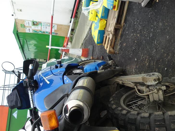 Triumph Tiger 900 *DØD* billede 8