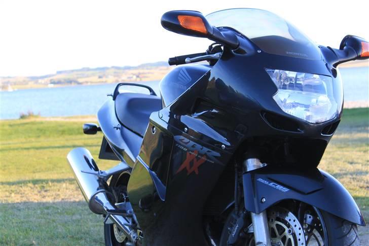 Honda CBR 1100 XX Blackbird - totalskadet - Ved Kalø Vig billede 1