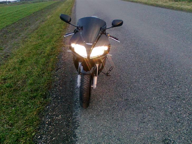 Suzuki SV 1000 S billede 5