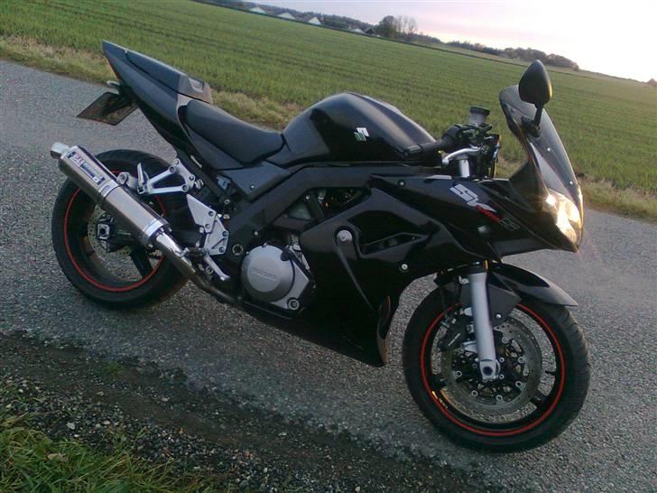 Suzuki SV 1000 S billede 6