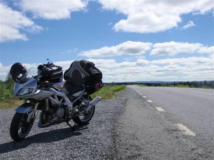 Suzuki SV1000 2 billede 11