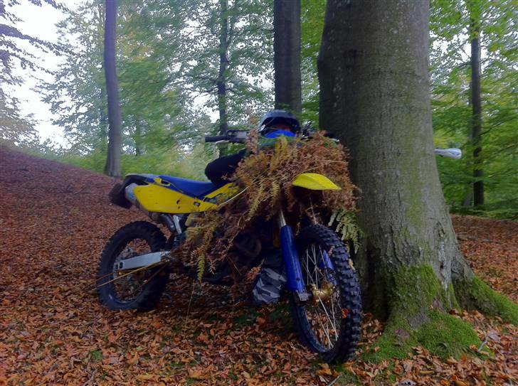 Husqvarna TE 450 - Husky´s første busk billede 14