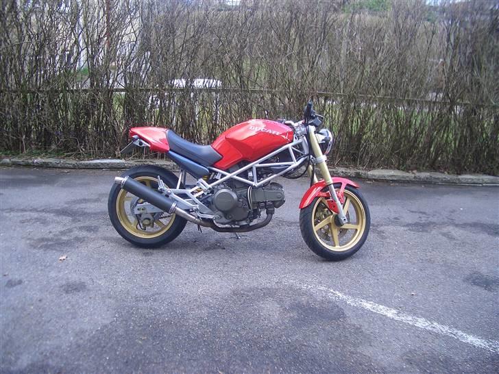 Ducati M600 billede 8