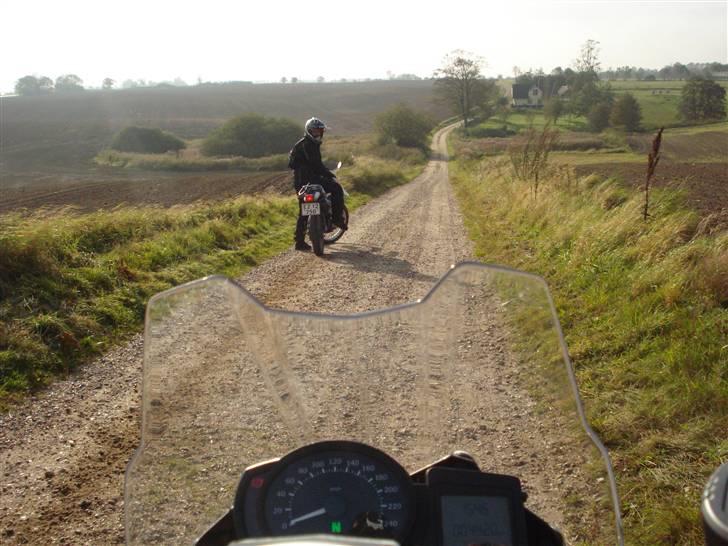 BMW F 800 GS billede 15