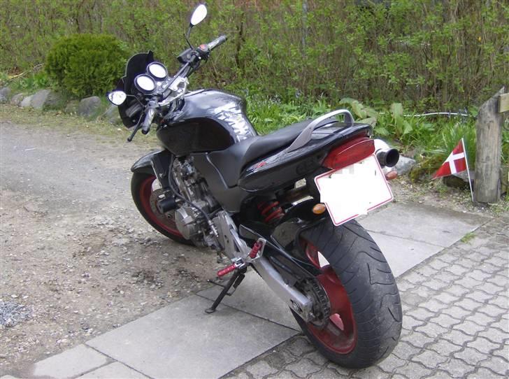 Honda CB 600 Hornet  billede 5