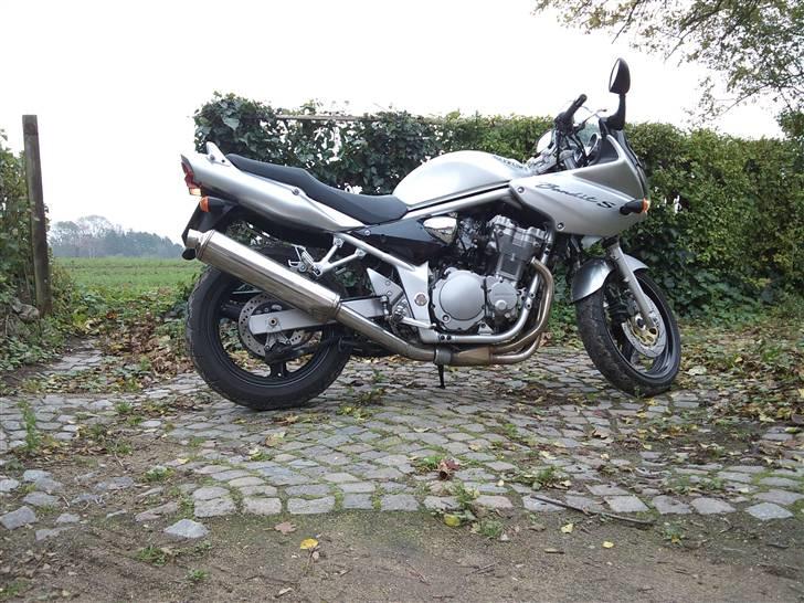 Suzuki GSF  600 S Bandtit billede 1