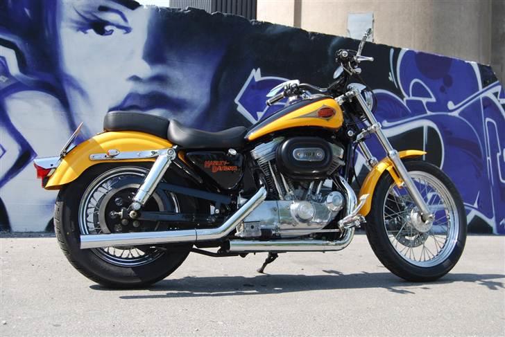 Harley Davidson 883 Sportster billede 1