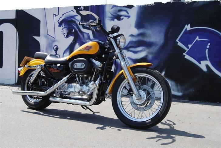 Harley Davidson 883 Sportster billede 2