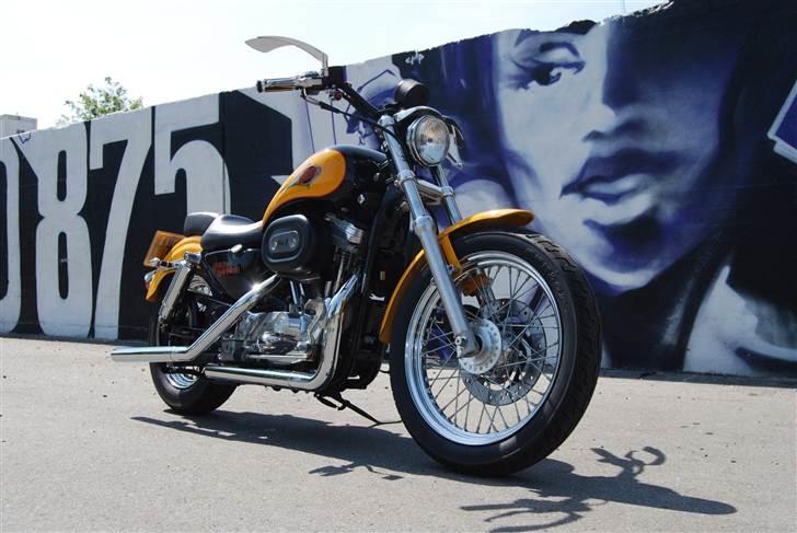 Harley Davidson 883 Sportster billede 3