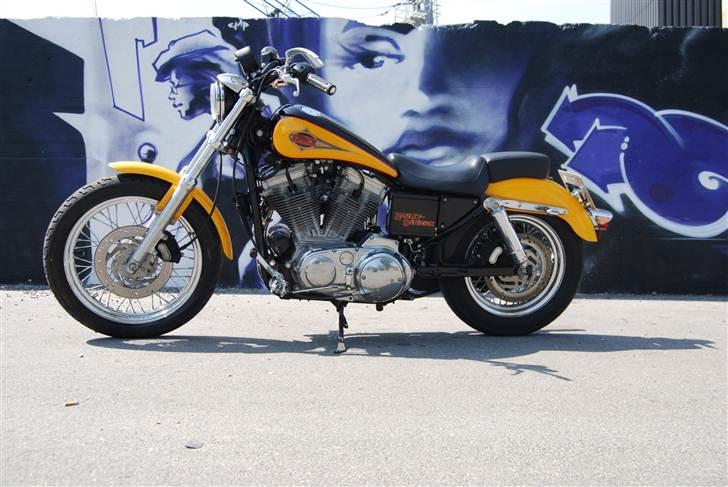 Harley Davidson 883 Sportster billede 4