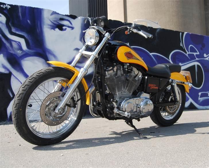 Harley Davidson 883 Sportster billede 5