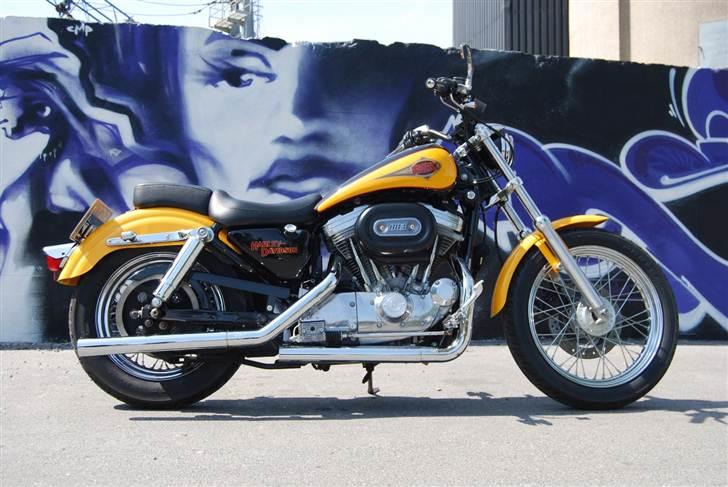 Harley Davidson 883 Sportster billede 6