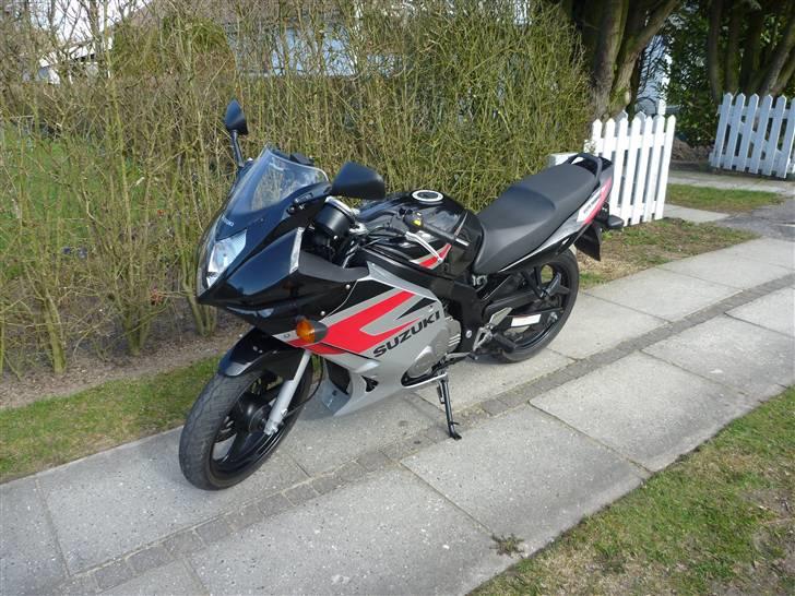 Suzuki GS500F K5 billede 3