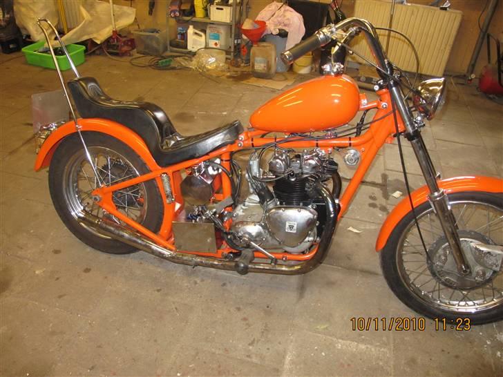 Triumph tiger100 esy rider billede 1