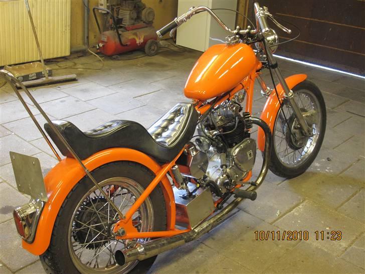 Triumph tiger100 esy rider billede 2