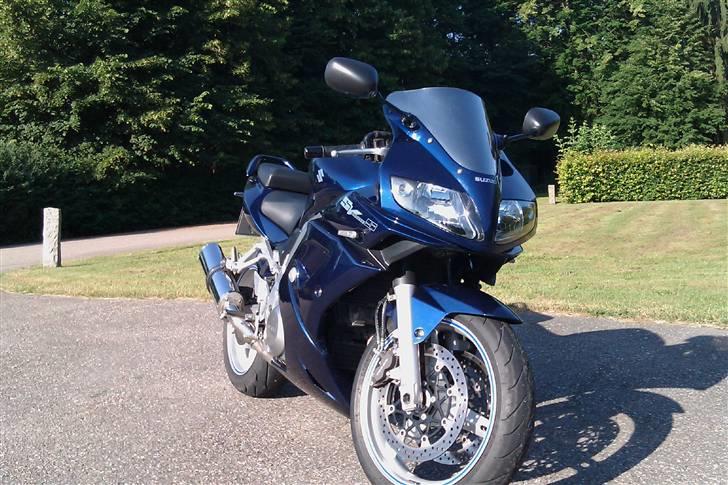 Suzuki sv 1000 billede 1
