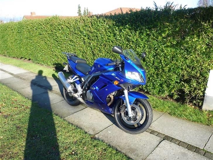 Suzuki SV650S K5 billede 5