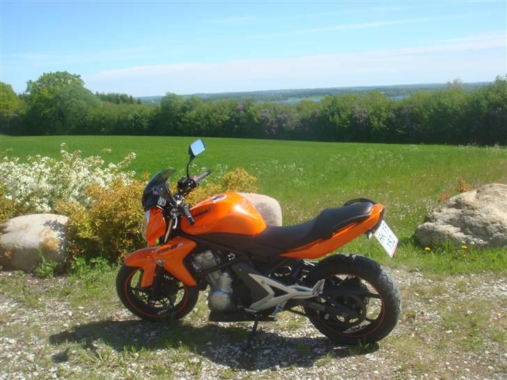 Kawasaki ER6N billede 9