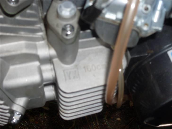 Honda Pitpro billede 9