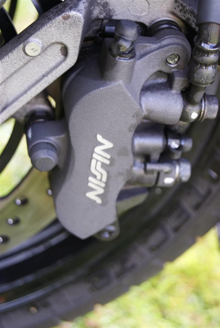 Honda 1100 Blackbird "SOLGT" billede 7