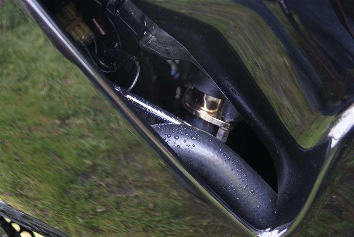 Honda 1100 Blackbird "SOLGT" billede 15