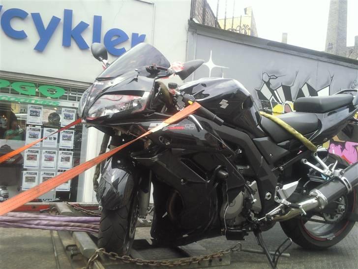 Suzuki SV1000 billede 11