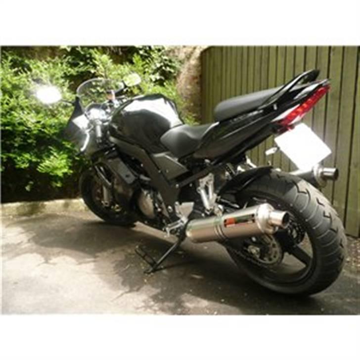 Suzuki SV1000 billede 16