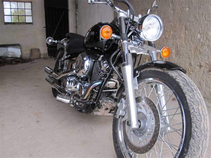 Yamaha Xvs-650 Dragstar billede 2