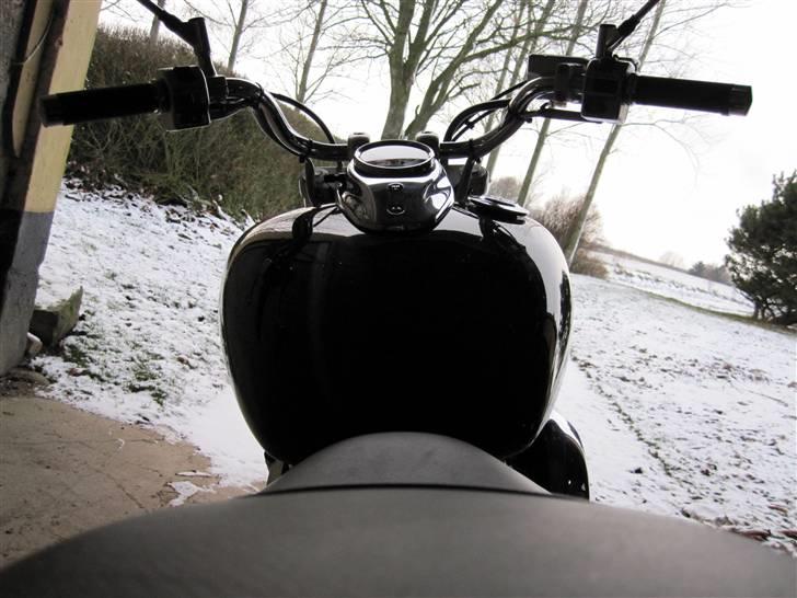 Yamaha Xvs-650 Dragstar billede 7