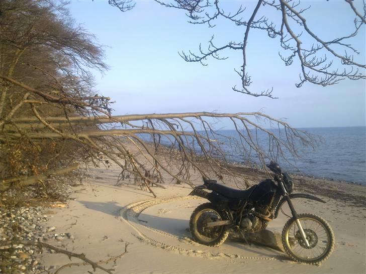 Yamaha XT 600 billede 2