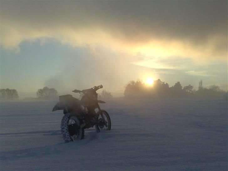 Yamaha XT 600 billede 3