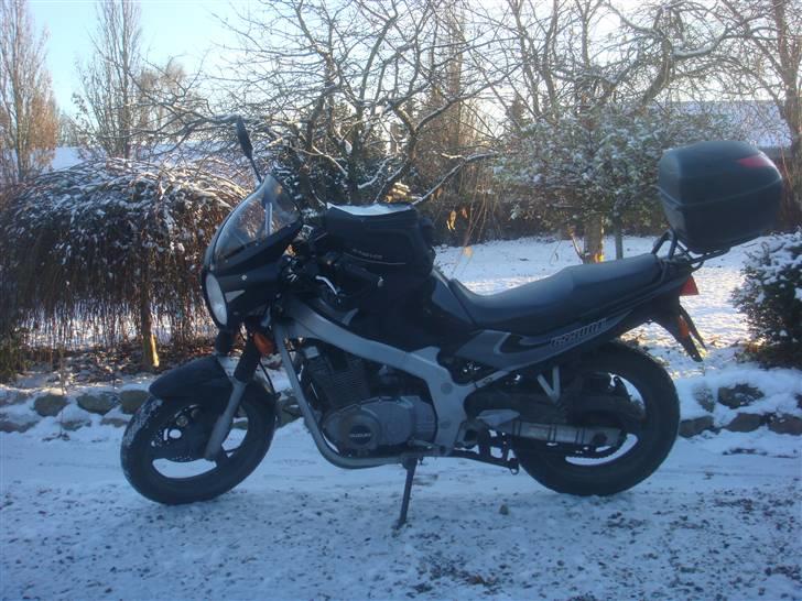 Suzuki GS 500 billede 4