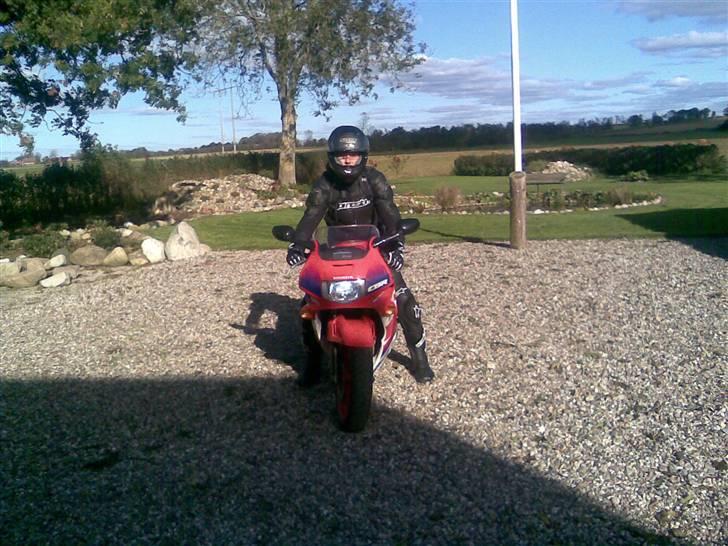 Honda CBR 600 billede 1