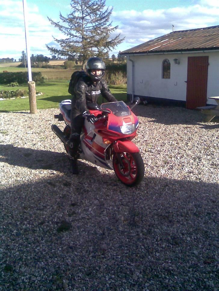 Honda CBR 600 billede 4