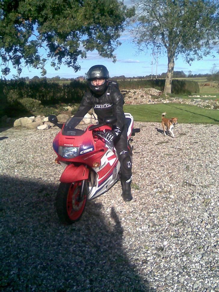 Honda CBR 600 billede 5