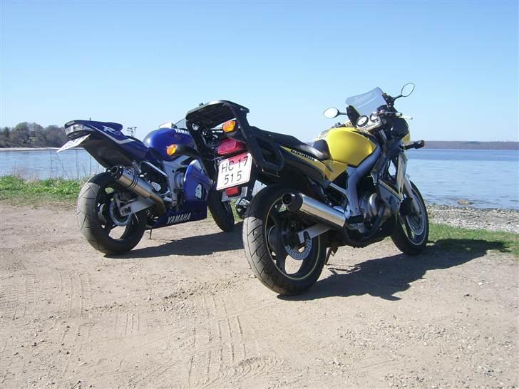 Suzuki Gs 500 E billede 5