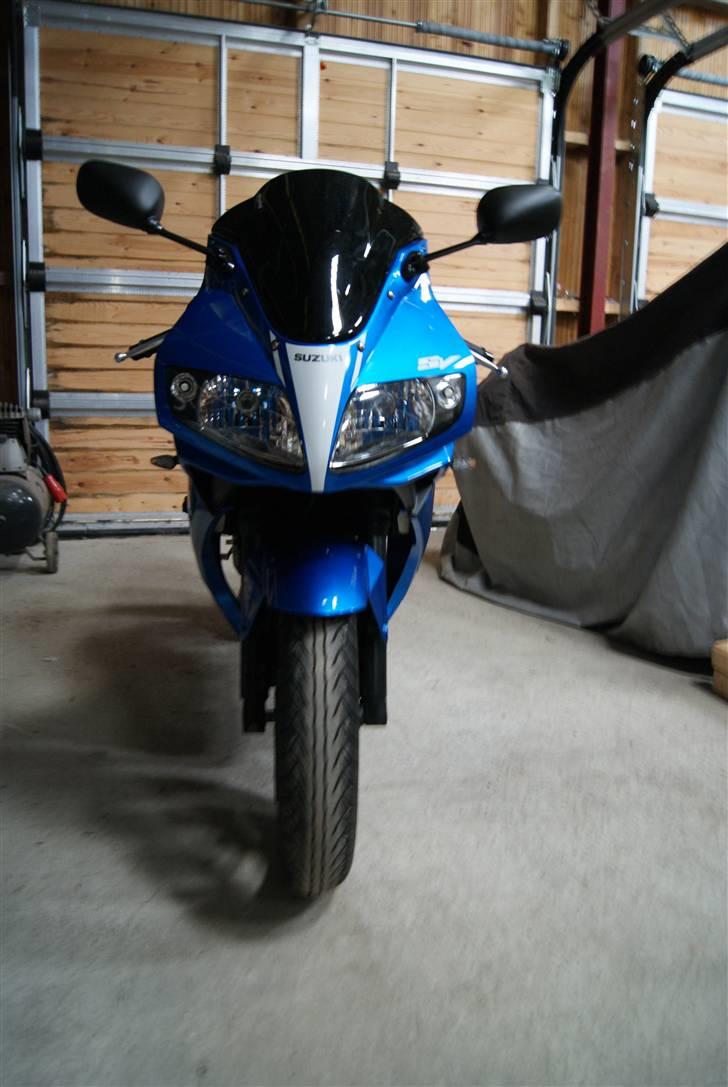 Suzuki SV 650 S billede 4