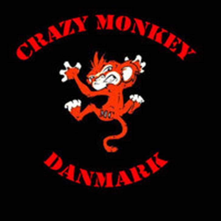 Suzuki VZ 1500 (solgt) billede 6