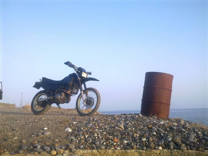 Yamaha XT 600 billede 5